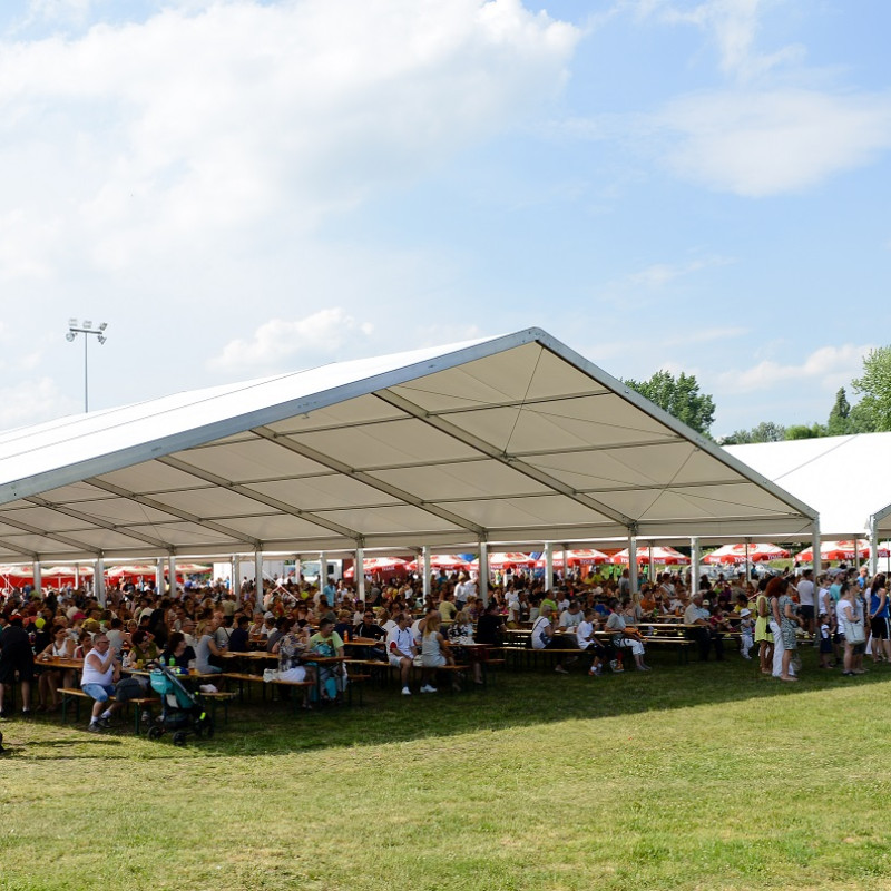 Scena z oświetleniem i ekranem LED podczas pikniku rodzinnego